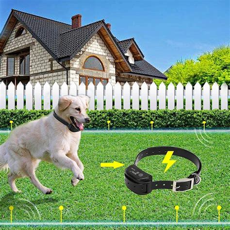 electric fence for stubborn dog